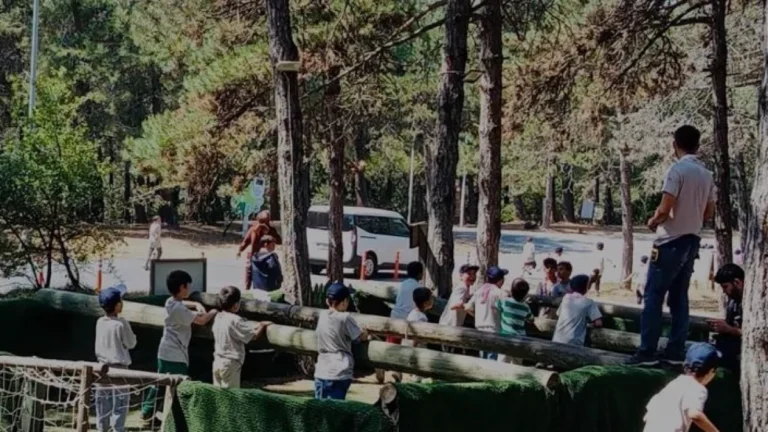 Devlet Korumasındaki 2240 Çocuk Yaz Kamplarında Buluştu