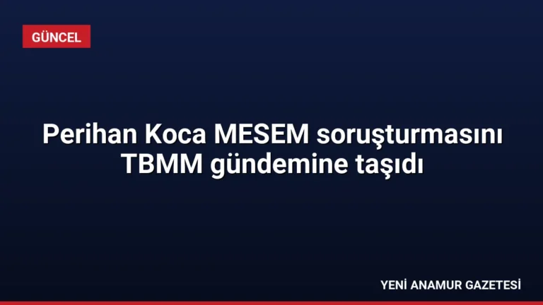 Perihan Koca MESEM soruşturmasını TBMM gündemine taşıdı