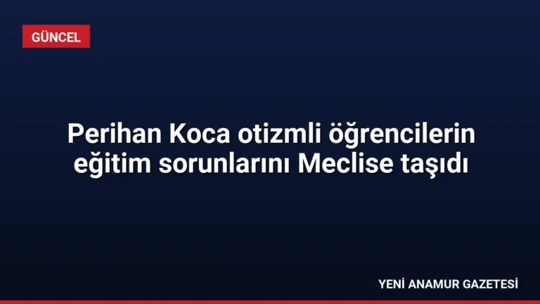 Perihan Koca otizmli öğrencilerin eğitim sorunlarını Meclise taşıdı