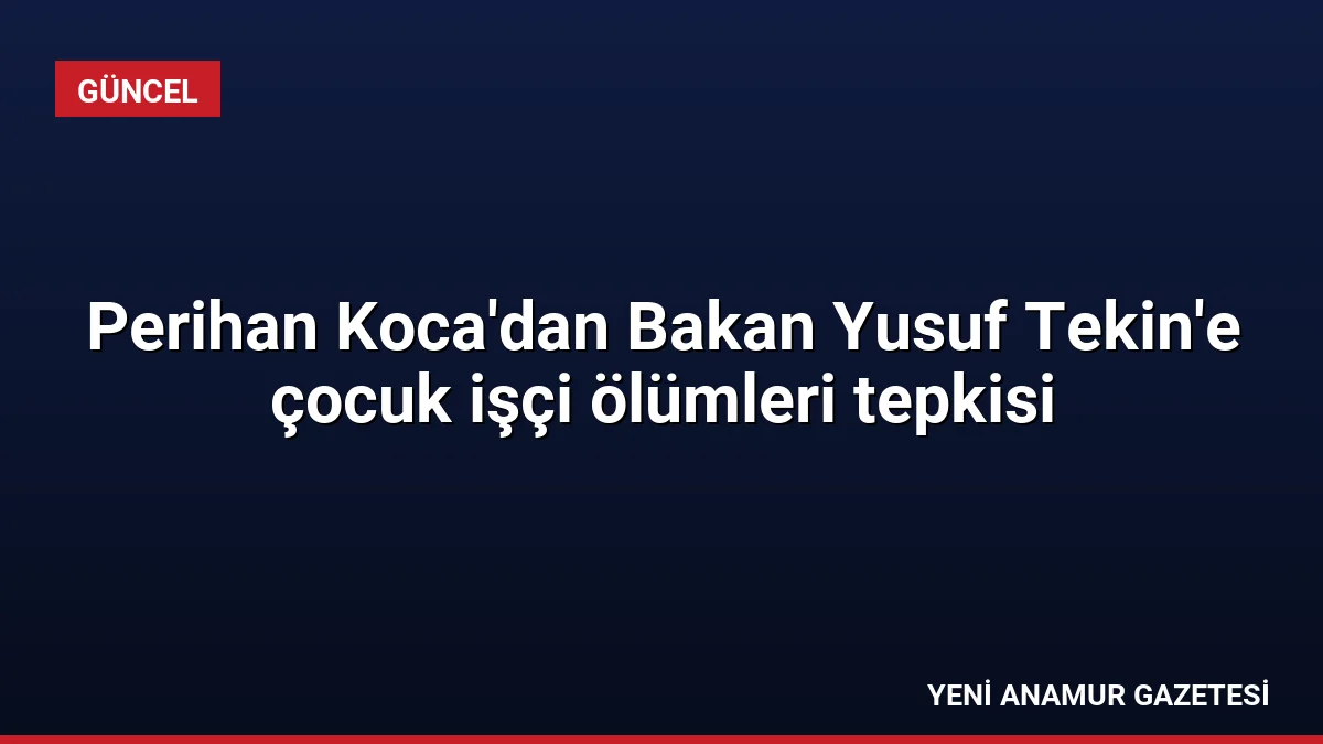 Perihan Koca’dan Bakan Yusuf Tekin’e çocuk işçi ölümleri tepkisi